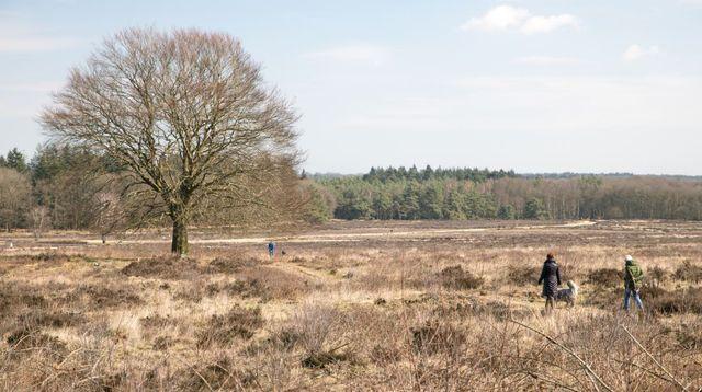 Snertwandeling */** Wandeling gaat door. Op dit moment 15 deelnemers. Facturen worden vanaf 28-10 verstuurd.