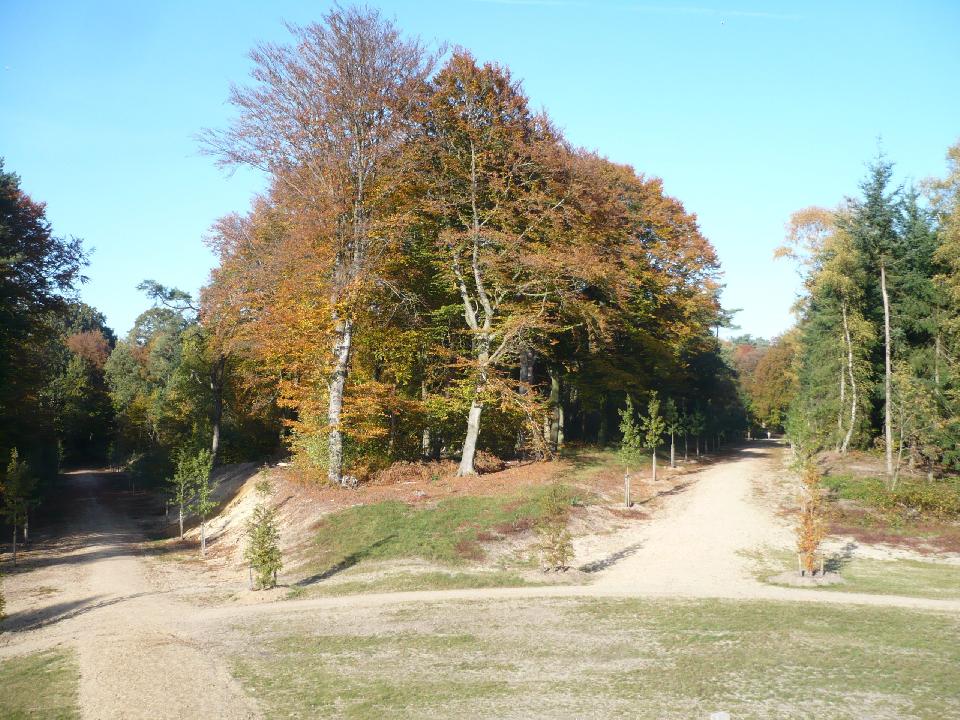 Najaarswandeling (Velp e.o.) */** Dagwandeling gaat door. Op dit moment 12 deelnemers. 