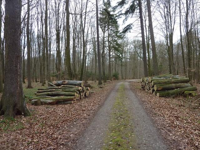 Kersttocht */** Reis gaat door. Op dit moment 12 deelnemers Facturen worden vanaf 28-10 verstuurd.