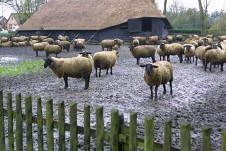 Kersttocht */** Reis gaat door. Op dit moment 12 deelnemers Facturen worden vanaf 28-10 verstuurd.