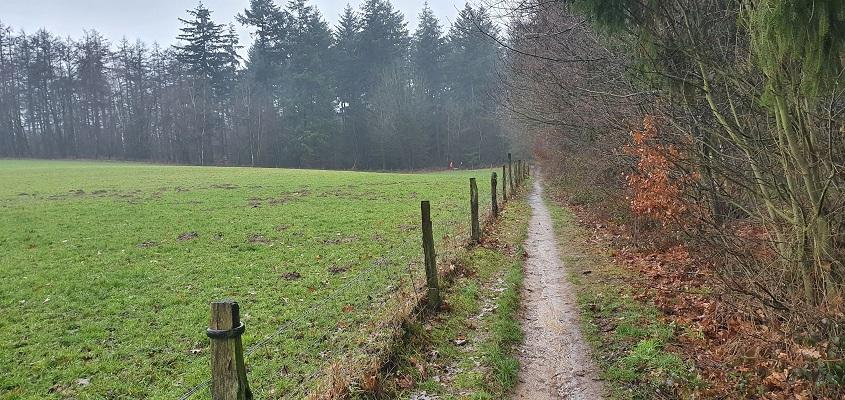 Rijk van Nijmegentocht */** Op dit moment 5 deelnemers.