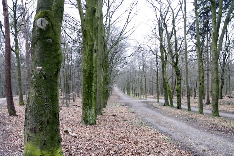 Rijk van Nijmegentocht */** Op dit moment 5 deelnemers.