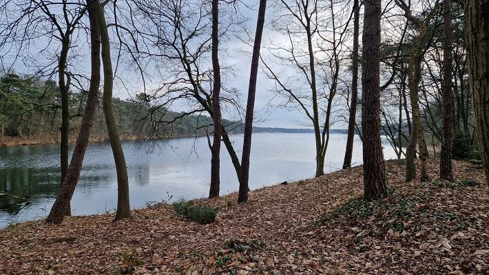 Ommetje Den Bosch (zwaarte: halve ster)