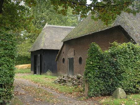 Alternatieve Vierdaagsetocht (Norg-Veenhuizen) */** Reis gaat door. Op dit moment 13 deelnemers. Facturen worden vanaf 31 maart 2026 verstuurd.