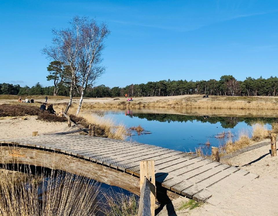 Snertwandeling (Zeist e.o.) * Dagwandeling gaat door. Op dit moment 17 deelnemers.
